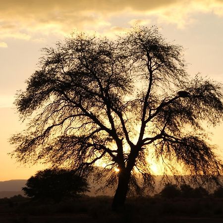 Andes Nomads Desert Camp & Lodge San Pedro de Atacama Ngoại thất bức ảnh