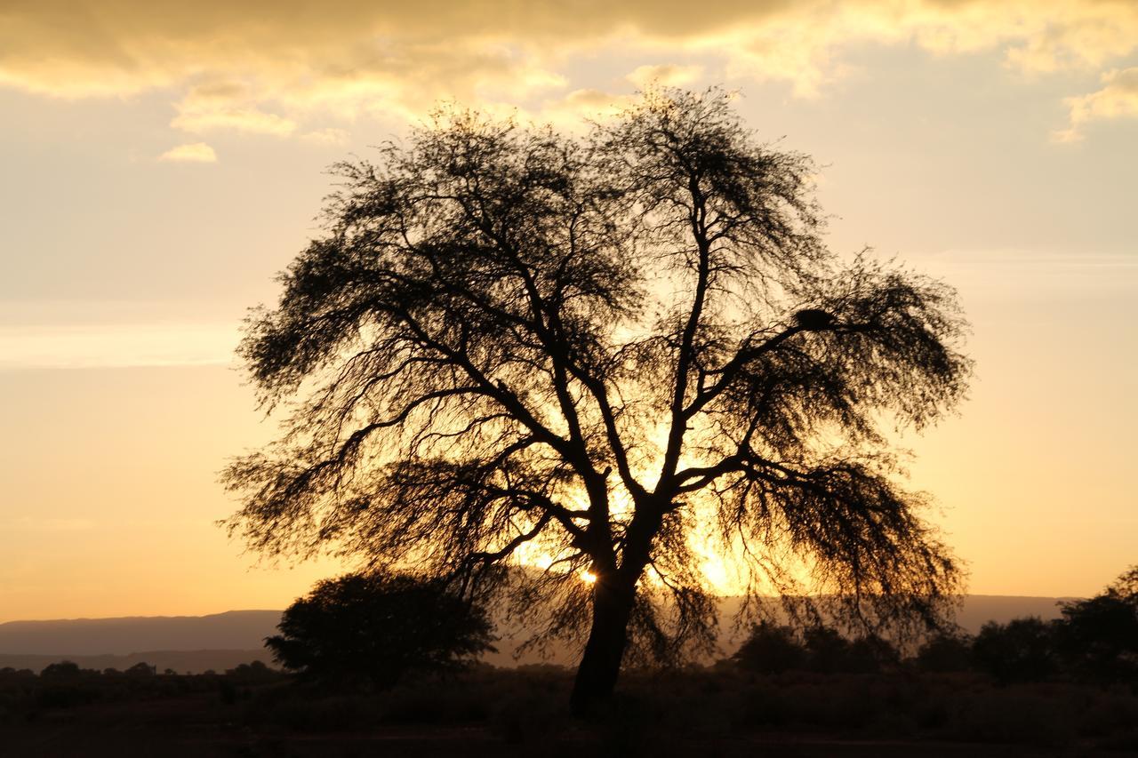 Andes Nomads Desert Camp & Lodge San Pedro de Atacama Ngoại thất bức ảnh