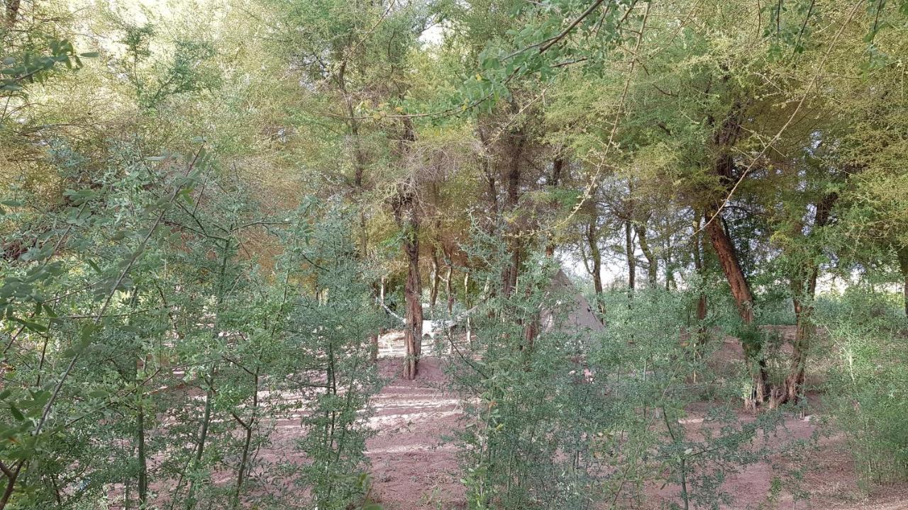 Andes Nomads Desert Camp & Lodge San Pedro de Atacama Ngoại thất bức ảnh